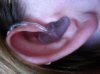 Ear Mould New.jpg