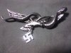 eagle snake swastika.JPG