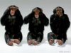 three monkeys.jpg