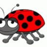 ladybug75