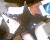 star2.jpg