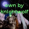 knightwolf2.jpg
