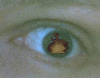 flame_eye_b.gif