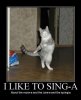 dancing-cat.jpg