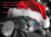 Kitty-Santa-1024x768.jpg