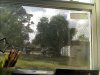 Tree at garage.jpg