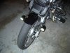 IMGP3095.jpg