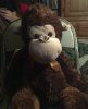 Tony the Monkey.jpg