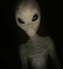 Alien.jpg