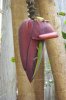 Gecko on banana blossom.jpg