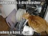 dishwasher.jpeg