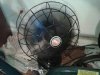 fan.jpg