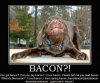 Bacon1.jpg