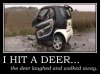 i_hit_a_deer.jpg