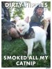 catnip.jpg