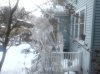 Tree Ice.jpg