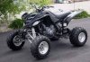 Raptor1.jpg