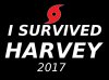 harvey2017.jpg