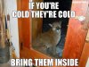 If you're cold....jpg