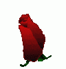 rosebloom.gif