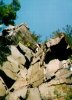 rockclimb2.jpg