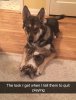 animal-snapchats-60-5881c39290816__700.jpg