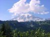 rainier2.jpg