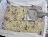 WebFriendlyCatLitterCake.jpg
