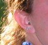 tragus.JPG