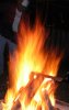 fire7.jpg