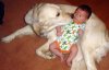 big dog n baby.JPG