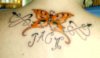 Angsbutterflytattoo20051.jpg