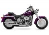 HAR_104_2001_00_700x500_HARLEY-DAVIDSON-FLSTFI.jpg