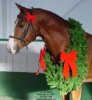 Christmas Horse.jpg