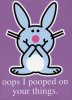 Opps-I-Pooped-Magnet-C11751585.jpeg