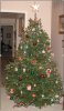 my christmas tree.jpg