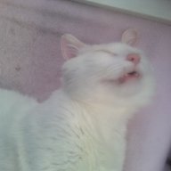 Charles Wesley Davis