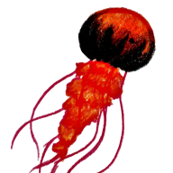 Chrysalyos