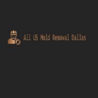 MoldRemovalDallas
