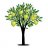 lemontree