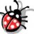 lady bug