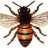 busybee